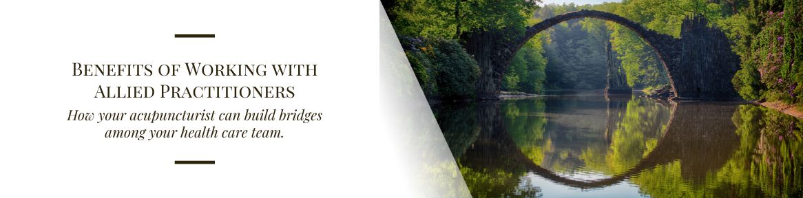 Benefits of Working with Allied Practitioners How your acupuncturist can build bridges among your health care team. 